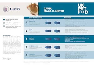 Cavia Maat-o-meter
